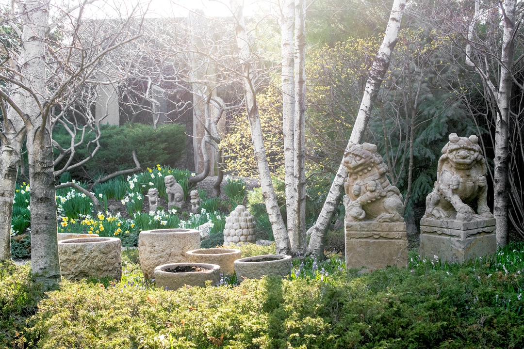 The garden at Pagoda Red.